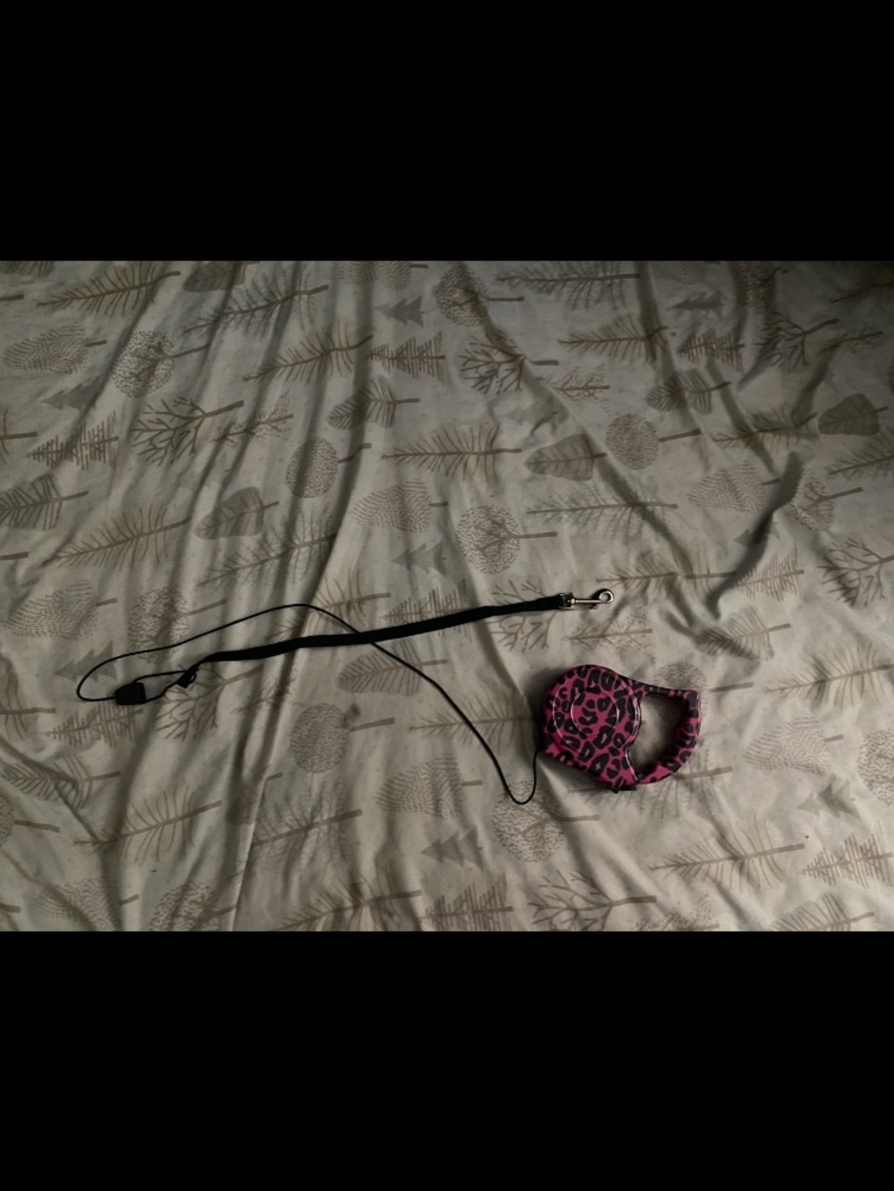 Pink Leopard Print Retractable Dog Leash